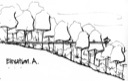 architectural sketch
